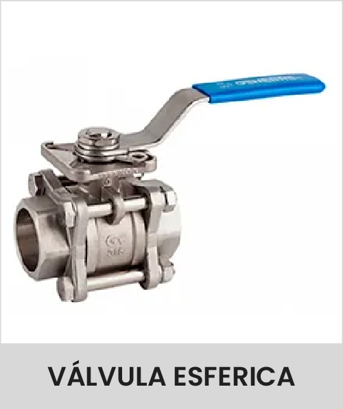 Descripción de la imagen